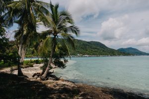 Foto 2 (Alif Stone Park) (1)