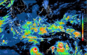 himawari-ferdinand