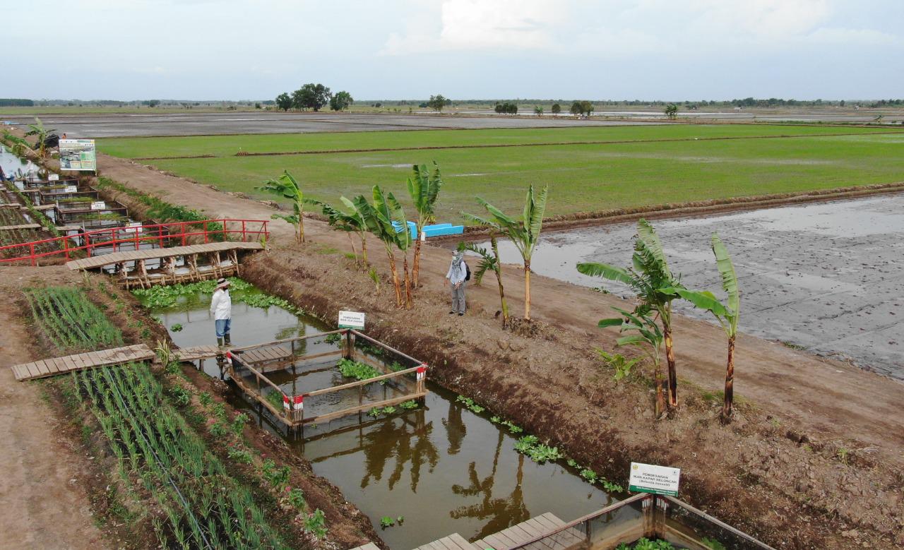 KUNJUNGAN-PRESIDEN-FOTO-HUMAS-6