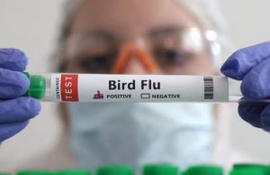 update-kasus-flu-burung-dampak-kasus-kamboja-kemenkes-keluarkan-se-crzSP6hjvn