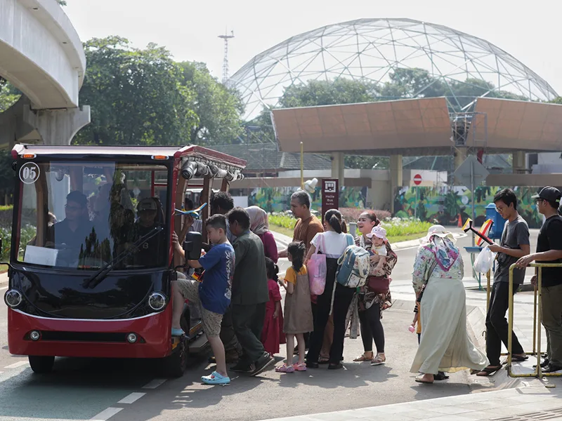 TMII