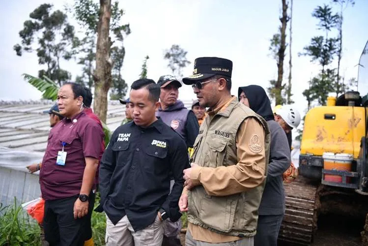 1769392534-WhatsApp-Image-2026-01-25-at-18.04.57