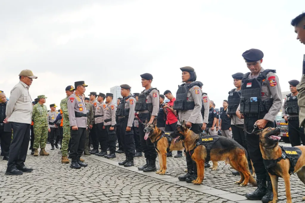 11205c3c-1b1f-437c-86b1-773fdee424f1_658658