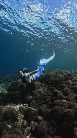 WhatsApp Image 2026-03-13 at 15.43.21