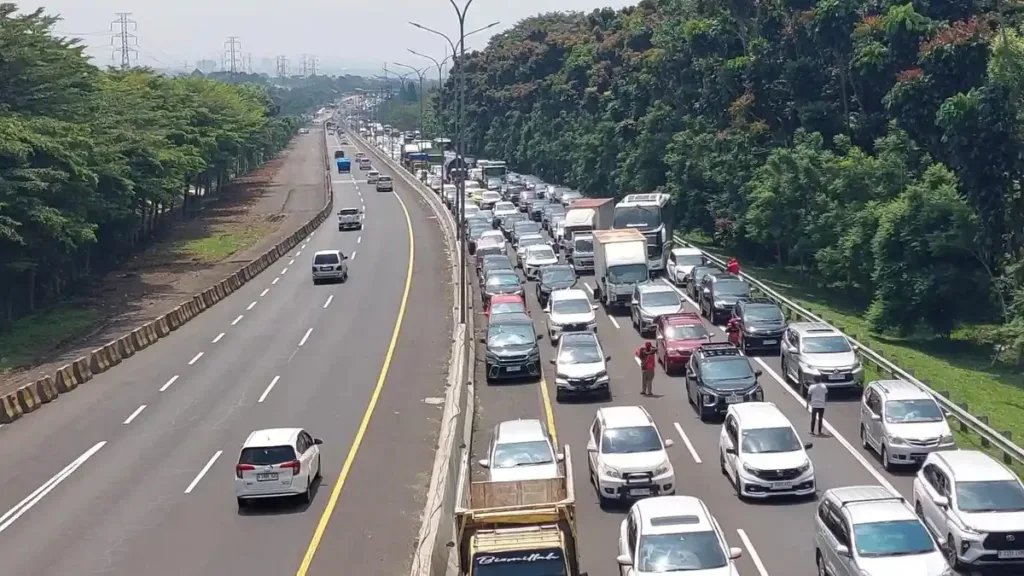 03042678899011_86182_191816 (1)