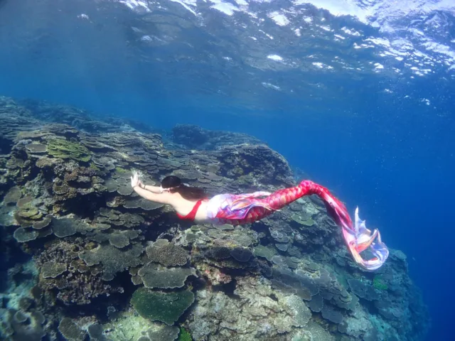 WhatsApp Image 2026-03-18 at 13.44.08