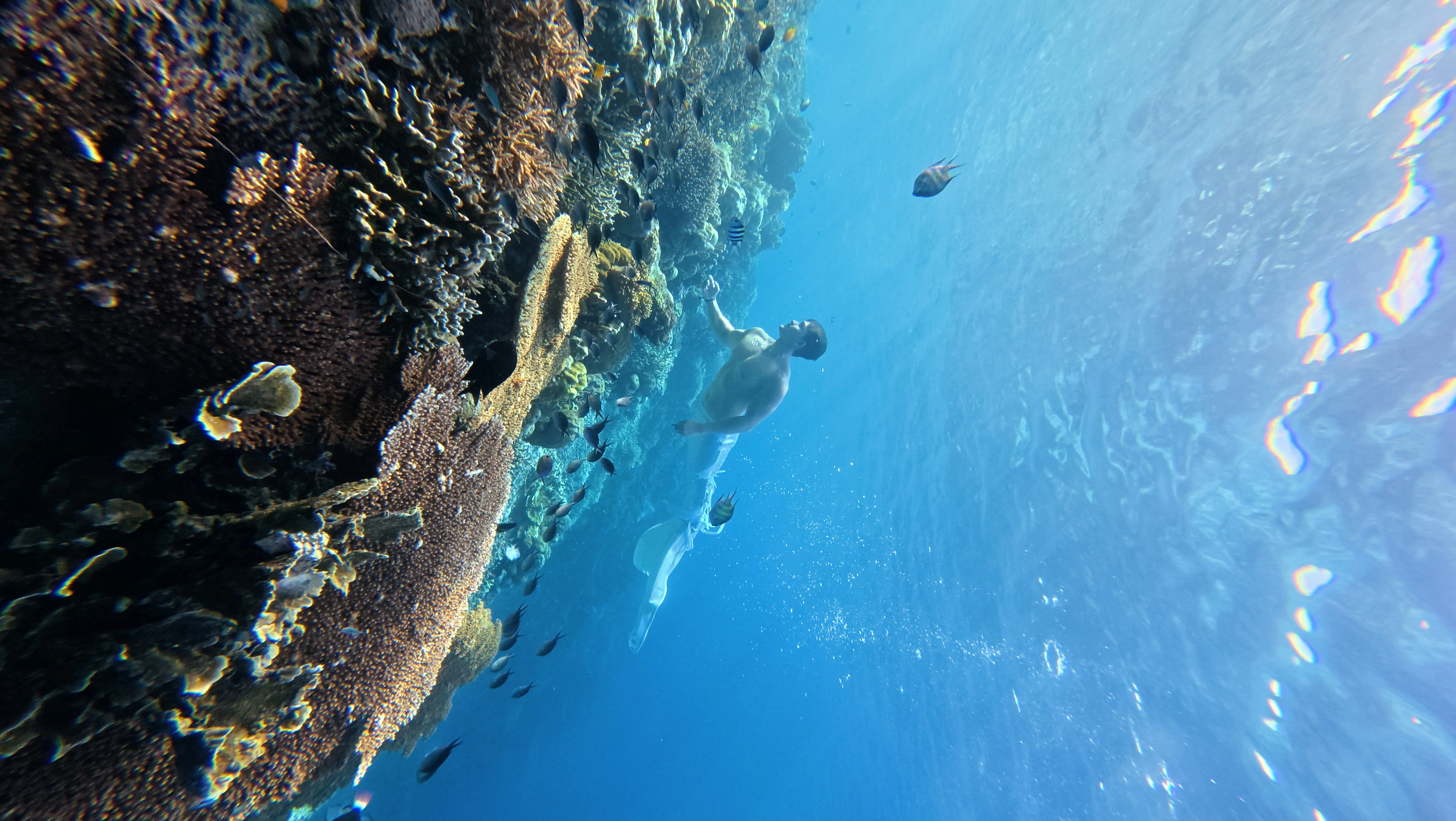 Merman Indonesia 2026 Ajak Generasi Muda Jaga Kelestarian Laut
